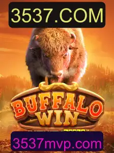 Explorando o Mundo de BuffaloWin: Um Novo Horizonte no Entretenimento